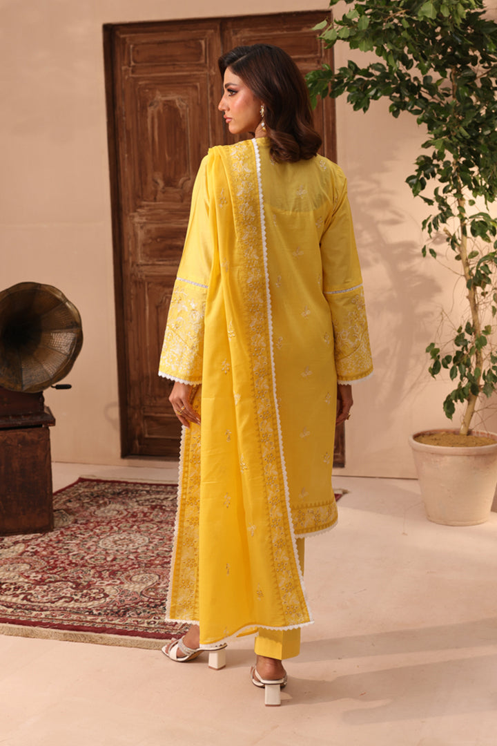3 Pc Formal Suit - ZL25-C11-10-PK
