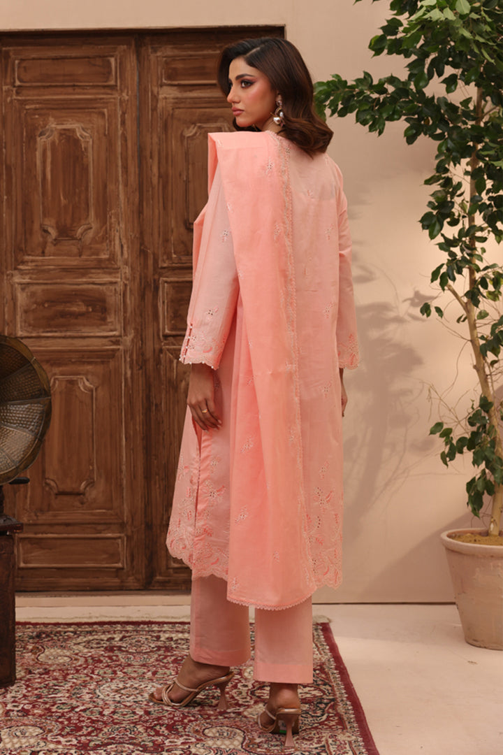 3 Pc Formal Suit - ZL25-C11-09-PK