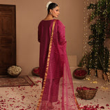 3 Pc Formal Stitched Suit - ZL25-C12-01