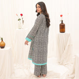 2 Pc Casual Co-Ord Set - ZL25-C07-01