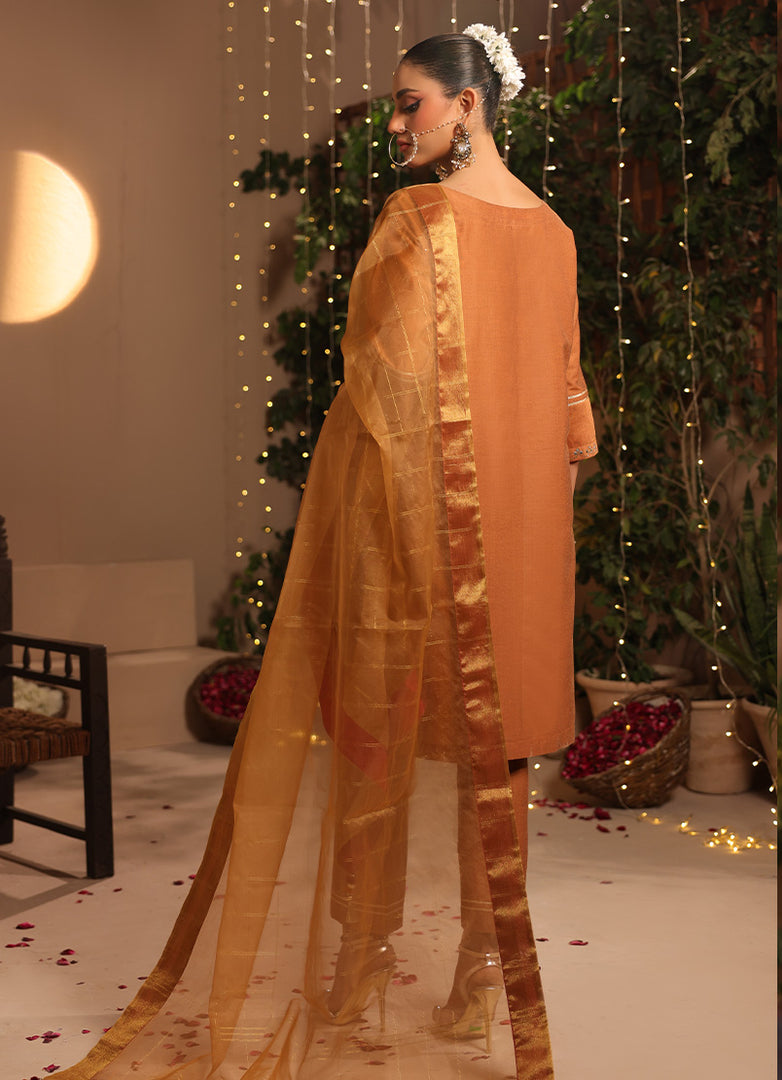 3 Pc Formal Stitched Suit - ZL25-C12-06
