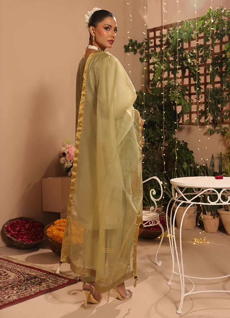 3 Pc Formal Stitched Suit - ZL25-C12-05