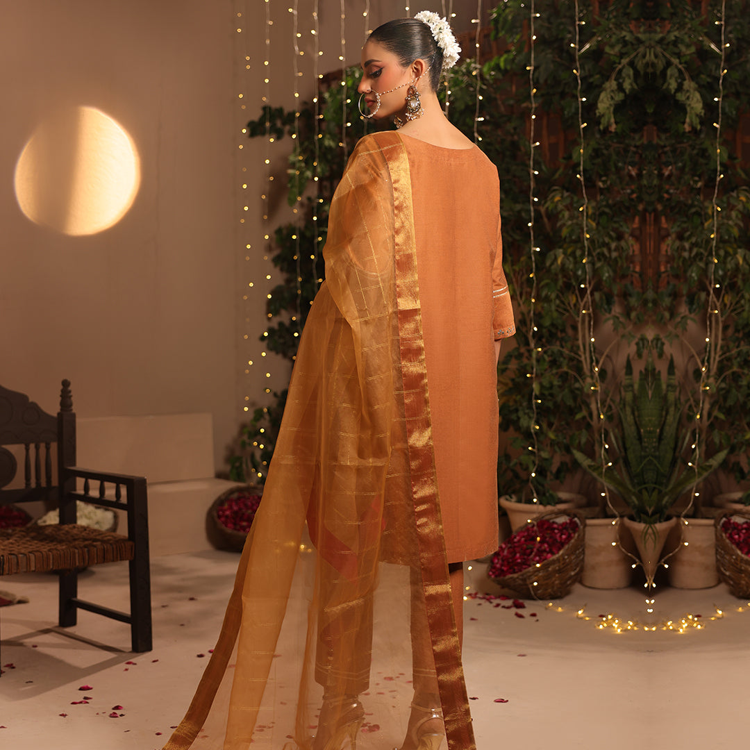 3 Pc Formal Stitched Suit - ZL25-C12-06 Secondary image