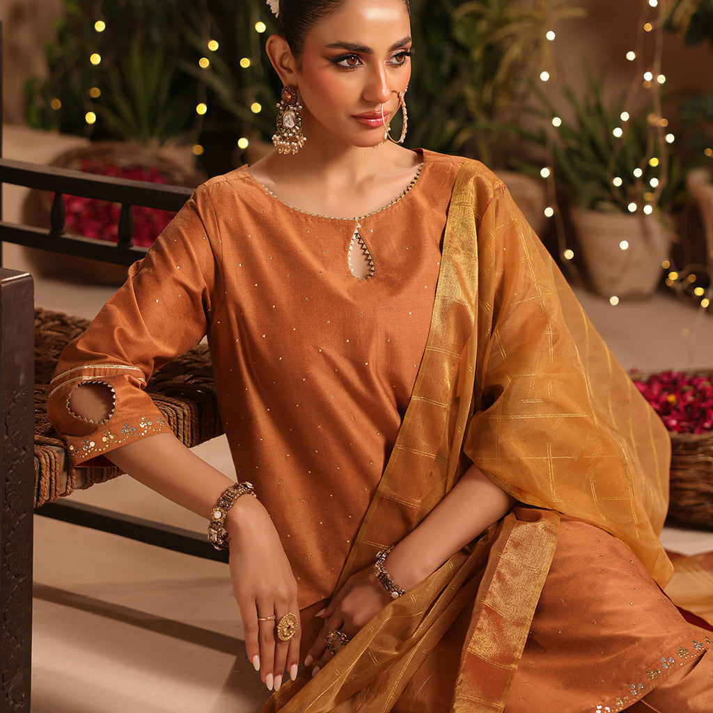 3 Pc Formal Stitched Suit - ZL25-C12-06