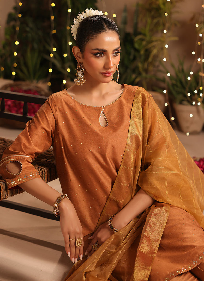 3 Pc Formal Stitched Suit - ZL25-C12-06