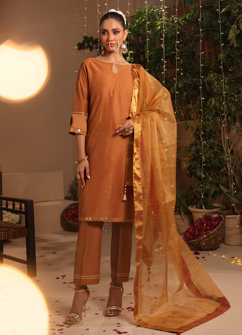 3 Pc Formal Stitched Suit - ZL25-C12-06